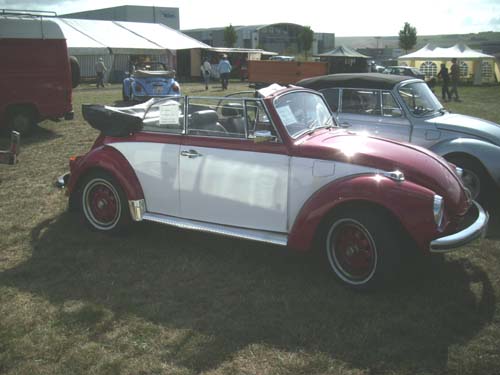 DSCI0464