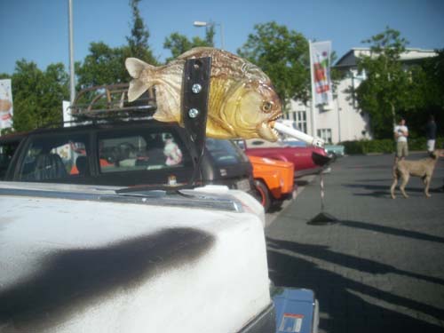 Echter Fisch als Kühlerfigur Echter Fisch als Kühlerfigur