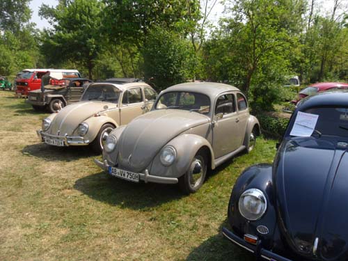 VW Käfer